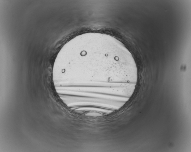 X0000111661349200908071423