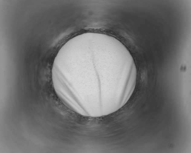 X0000111661350200908071423