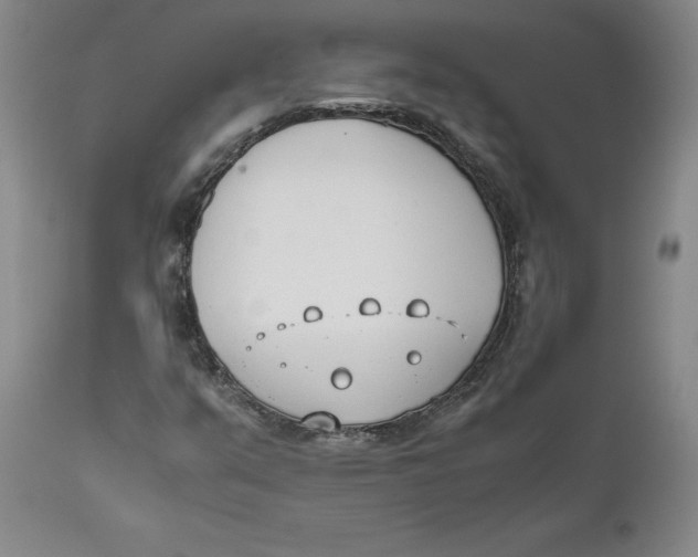 X0000111661351200908071423