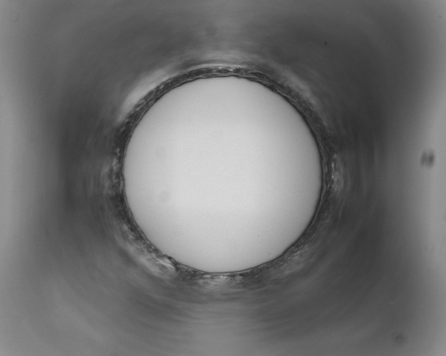 X0000111661352200908071423