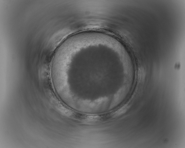 X0000111661353200908071423