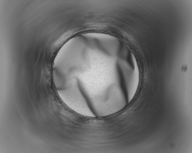 X0000111661354200908071423