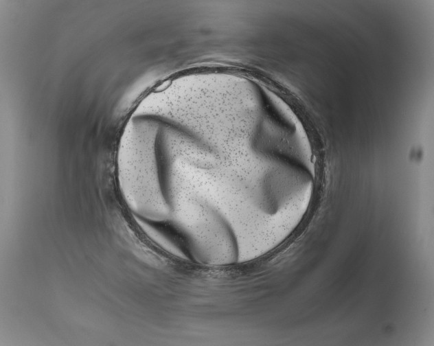 X0000111661355200908071423