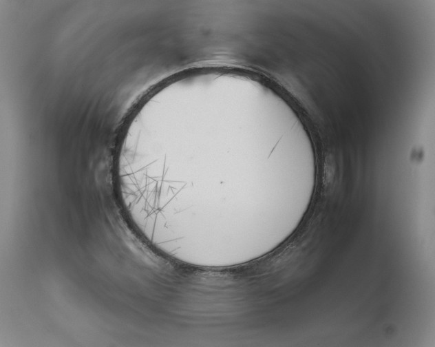 X0000111661356200908071423