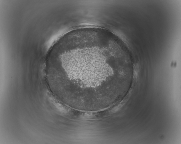 X0000111661357200908071423