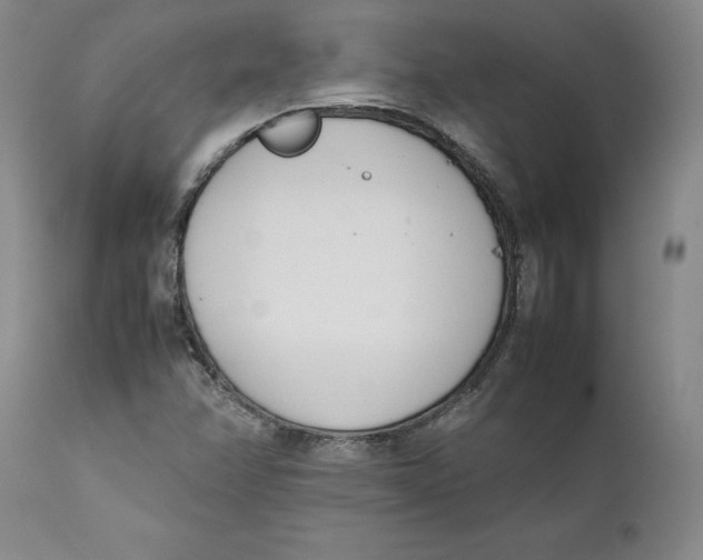 X0000111661358200908071423