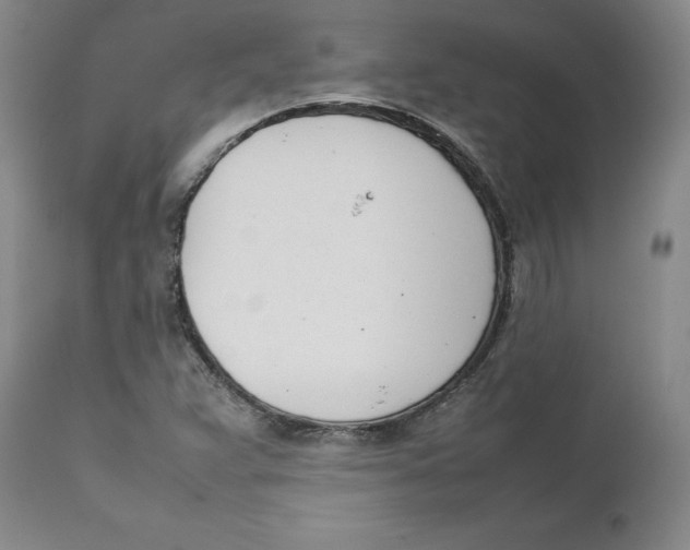 X0000111661359200908071423