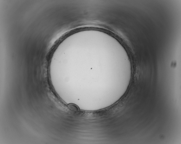 X0000111661360200908071423