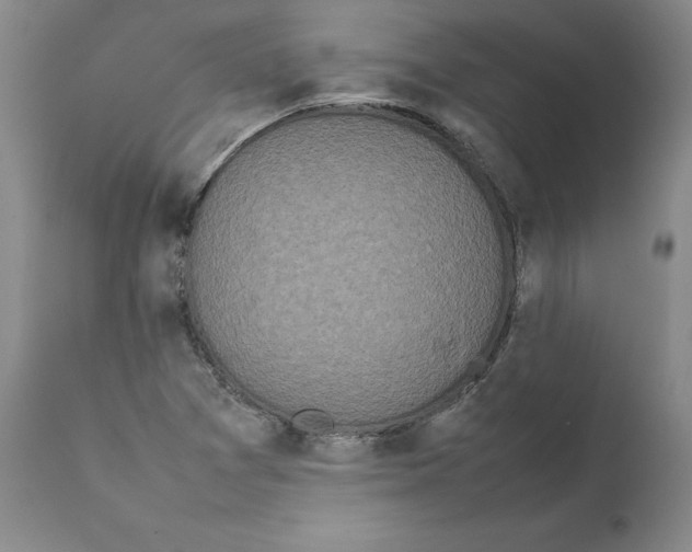 X0000111661361200908071423