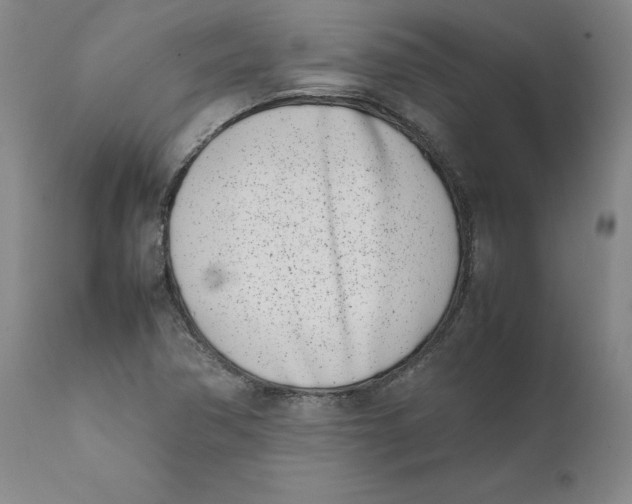 X0000111661362200908071423