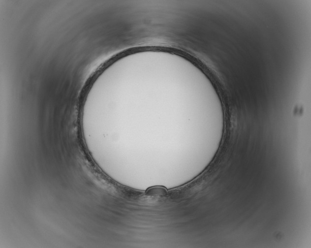 X0000111661364200908071423