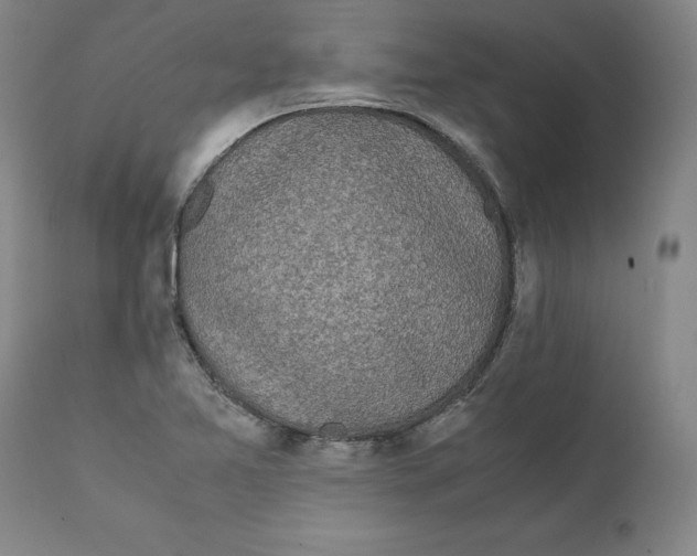 X0000111661365200908071423