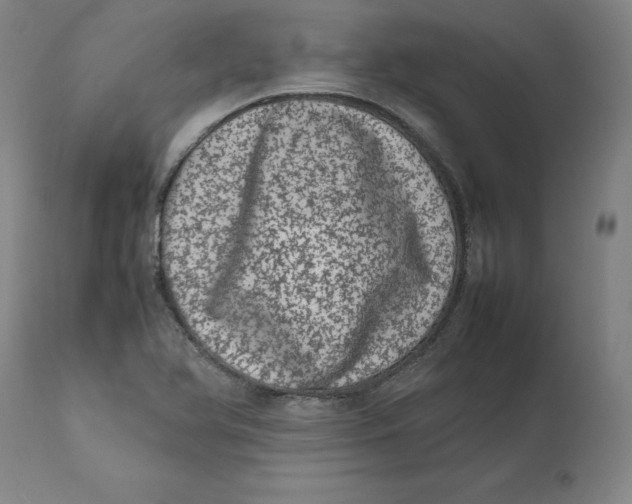 X0000111661366200908071423