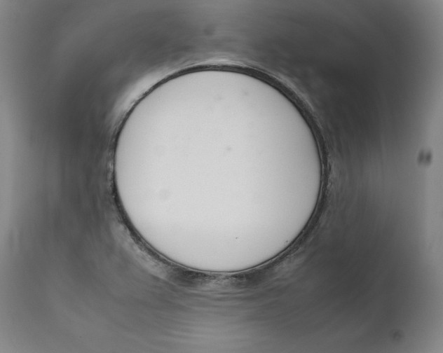 X0000111661367200908071423