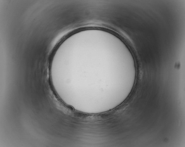 X0000111661368200908071423