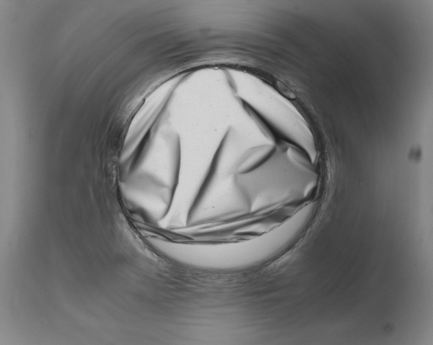 X0000111661369200908071423