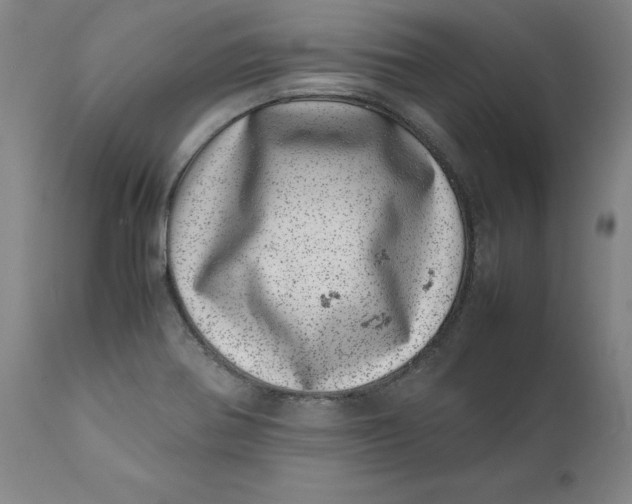 X0000111661370200908071423