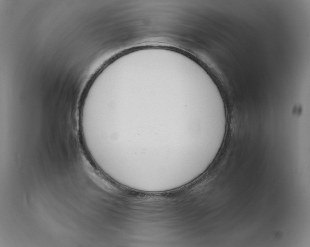 X0000111661372200908071423