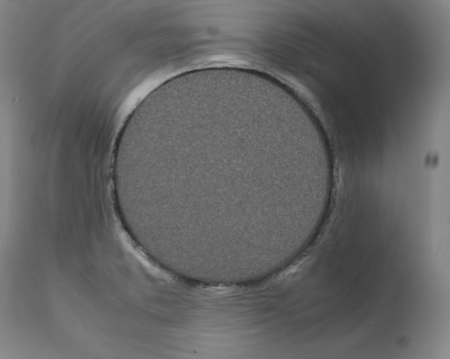 X0000111661373200908071423