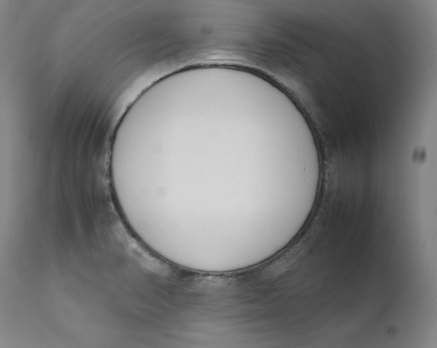 X0000111661374200908071423