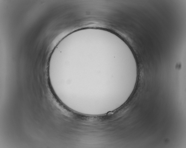 X0000111661375200908071423