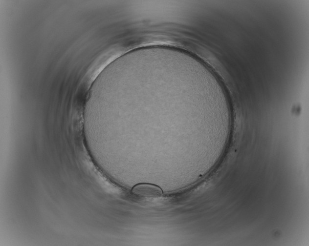 X0000111661377200908071423