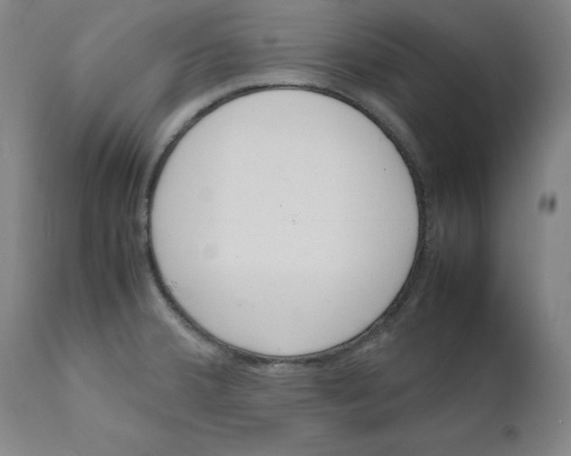 X0000111661380200908071423