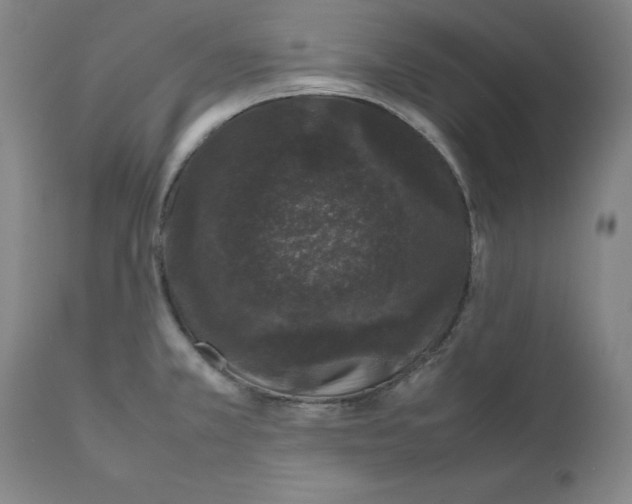 X0000111661381200908071423