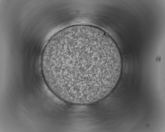 X0000111661382200908071423