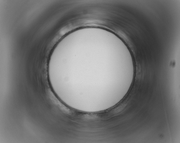 X0000111661384200908071423