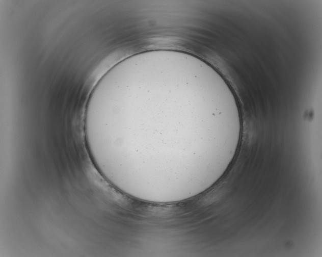 X0000111661386200908071422