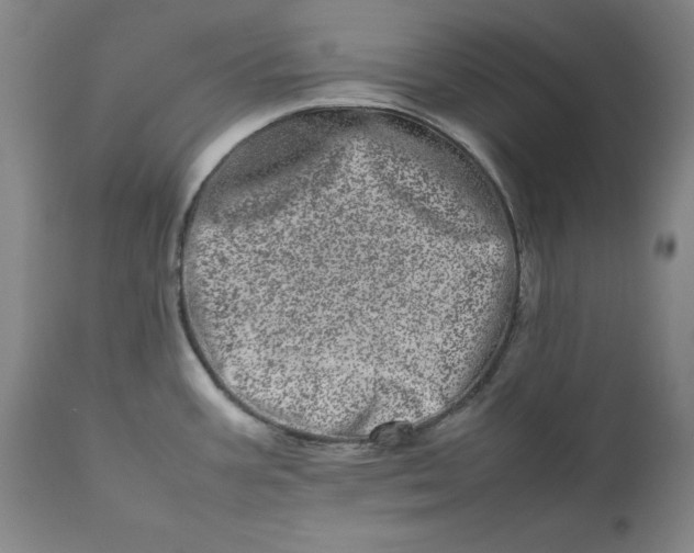 X0000111661387200908071422