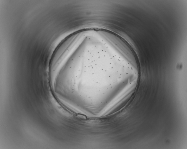 X0000111661388200908071422