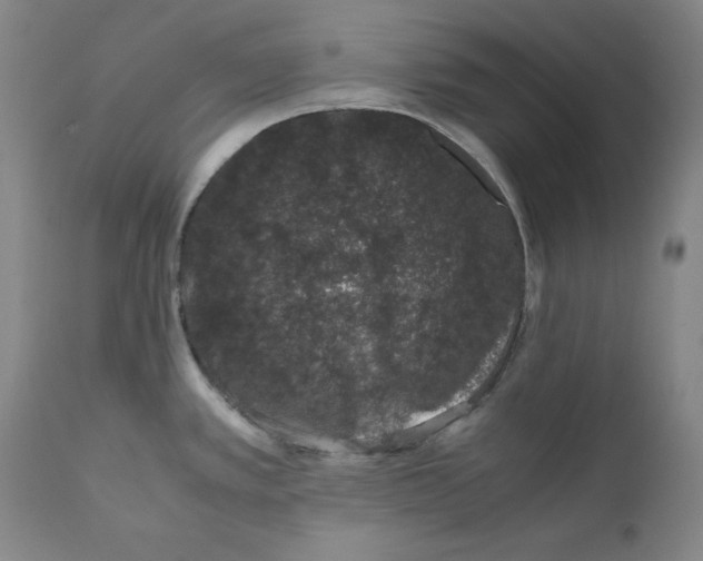 X0000111661389200908071422