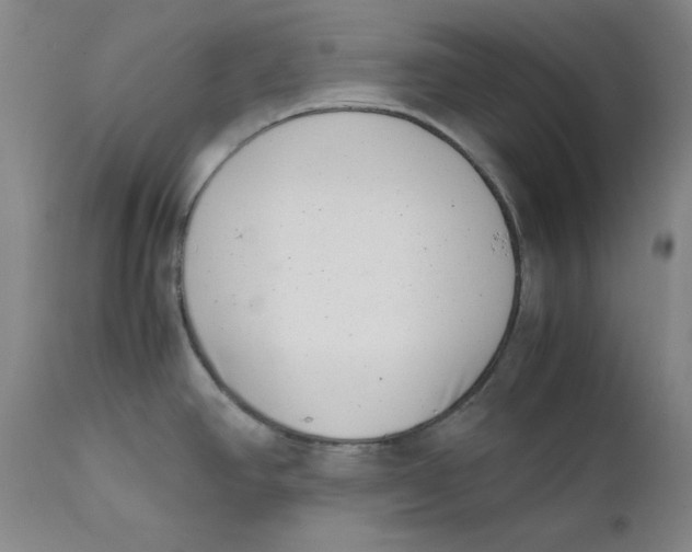 X0000111661390200908071422