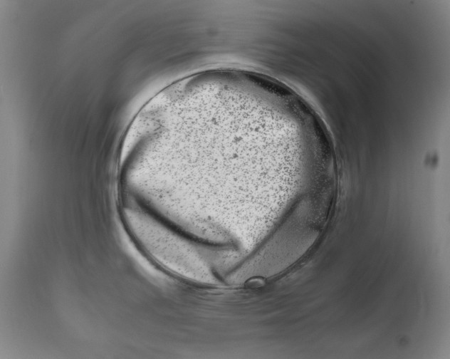 X0000111661391200908071422