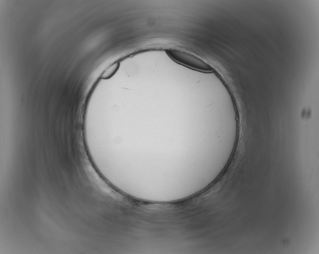 X0000111661392200908071422