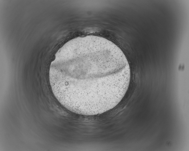 X0000111661393200908071422