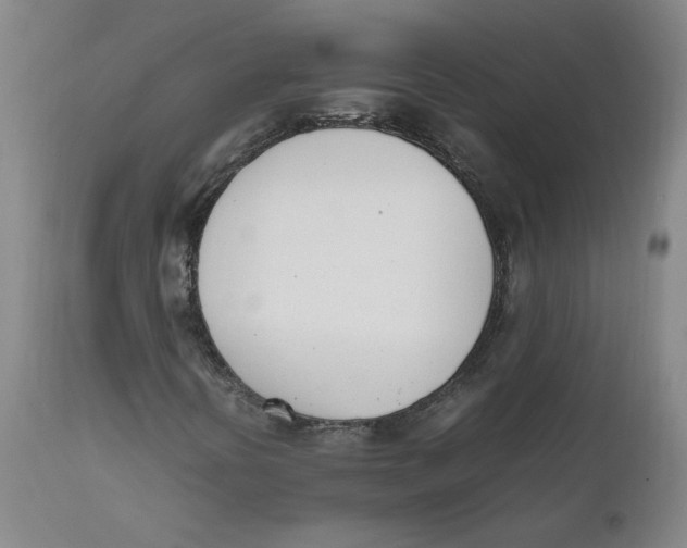 X0000111661394200908071422