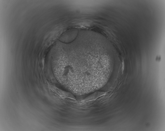 X0000111661395200908071422