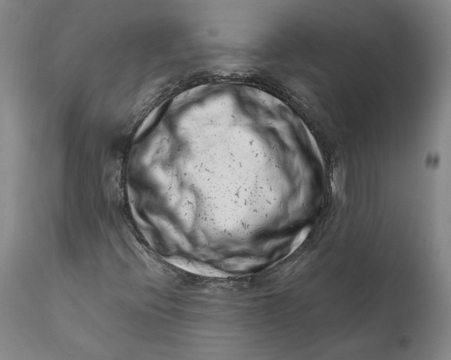 X0000111661396200908071422