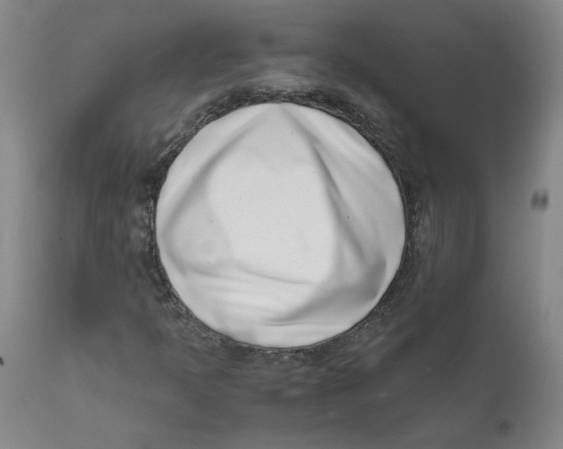 X0000111661397200908071422