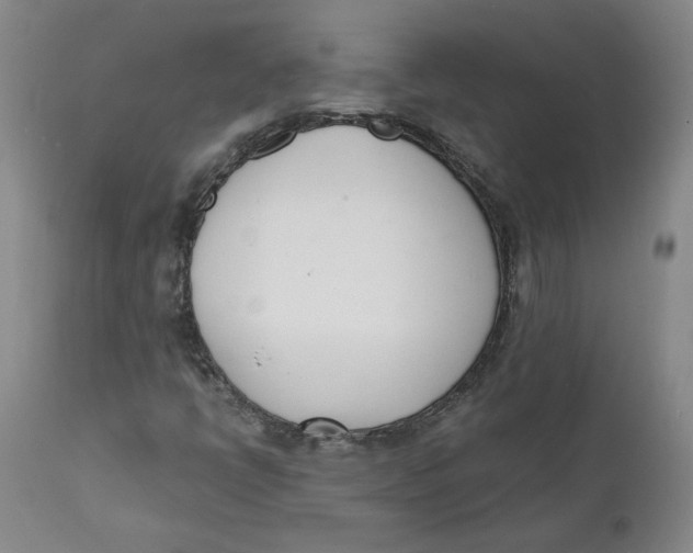 X0000111661398200908071422