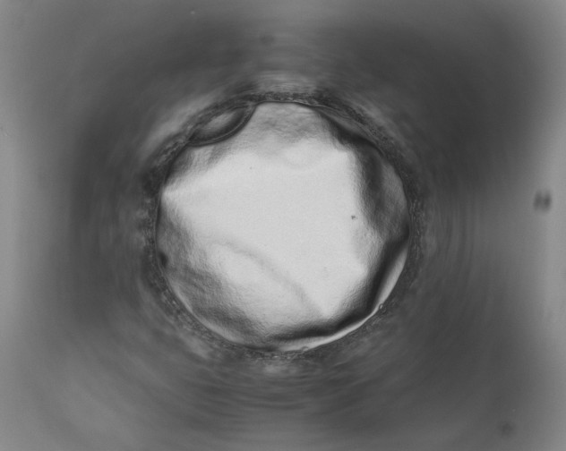 X0000111661399200908071422