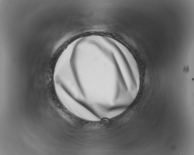 X0000111661400200908071422