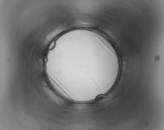 X0000111661402200908071422