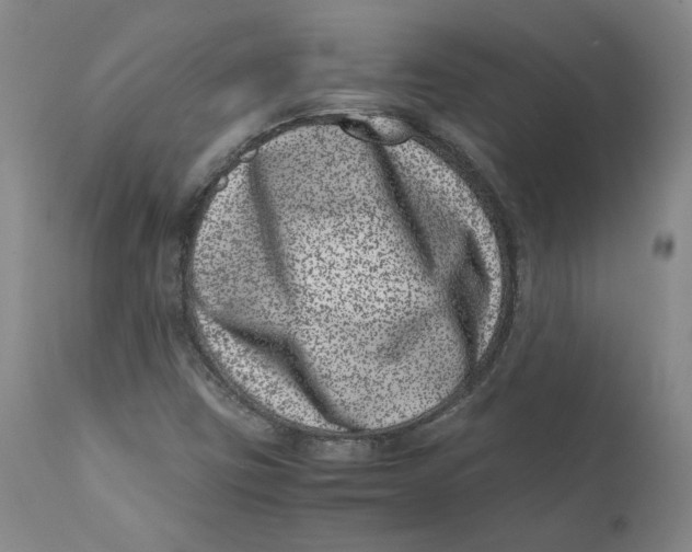 X0000111661403200908071422