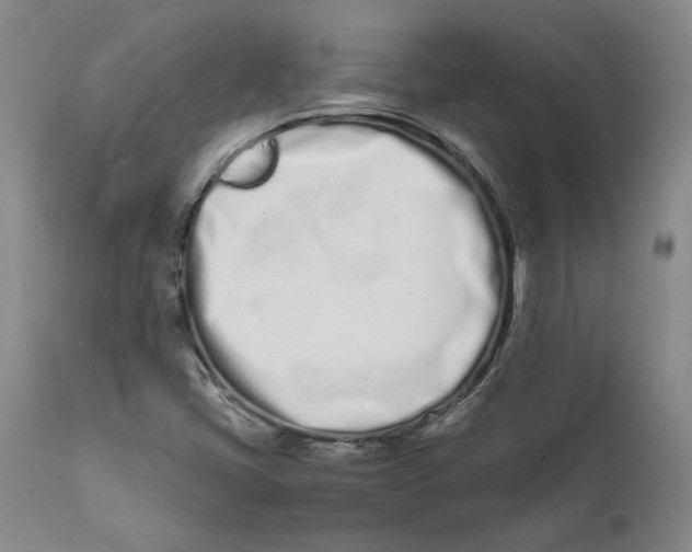 X0000111661405200908071422