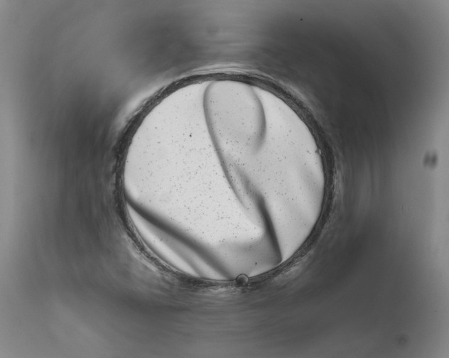 X0000111661406200908071422