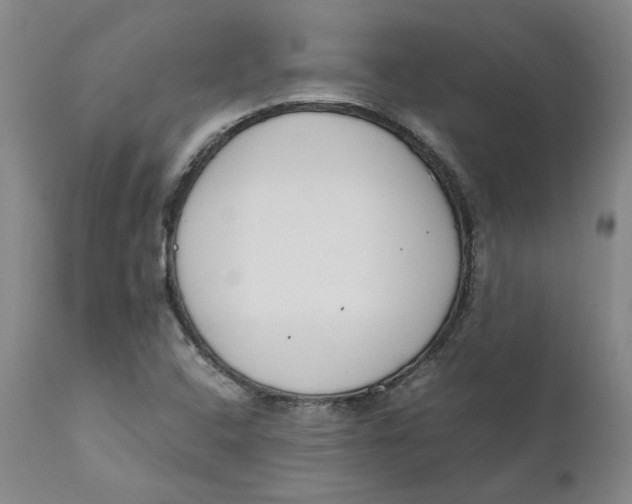 X0000111661408200908071422